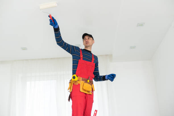 Best Drywall Removal and Disposal  in South Blooming Grove, NY